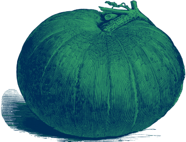 calabazaB 5 calabazaB 5